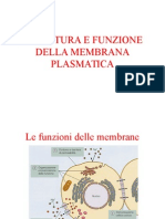 6 Struttura e Funzione Della Membrana Plasmatica P 14680