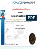 IIM Certificate - Professional Fellow