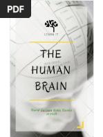 Human Brain