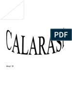 Monografie Calarasi