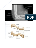 Doc1de Terapia Congruentes