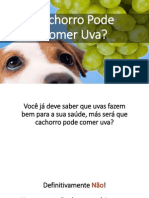 Cachorro Pode Comer Uva? Mito Ou Verdade?