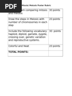 Meiosis Poster