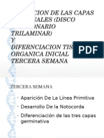 Formacion de Las Capas Germinales (Disco Embrionario