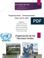 Organizaciónes ONU IATA OEA