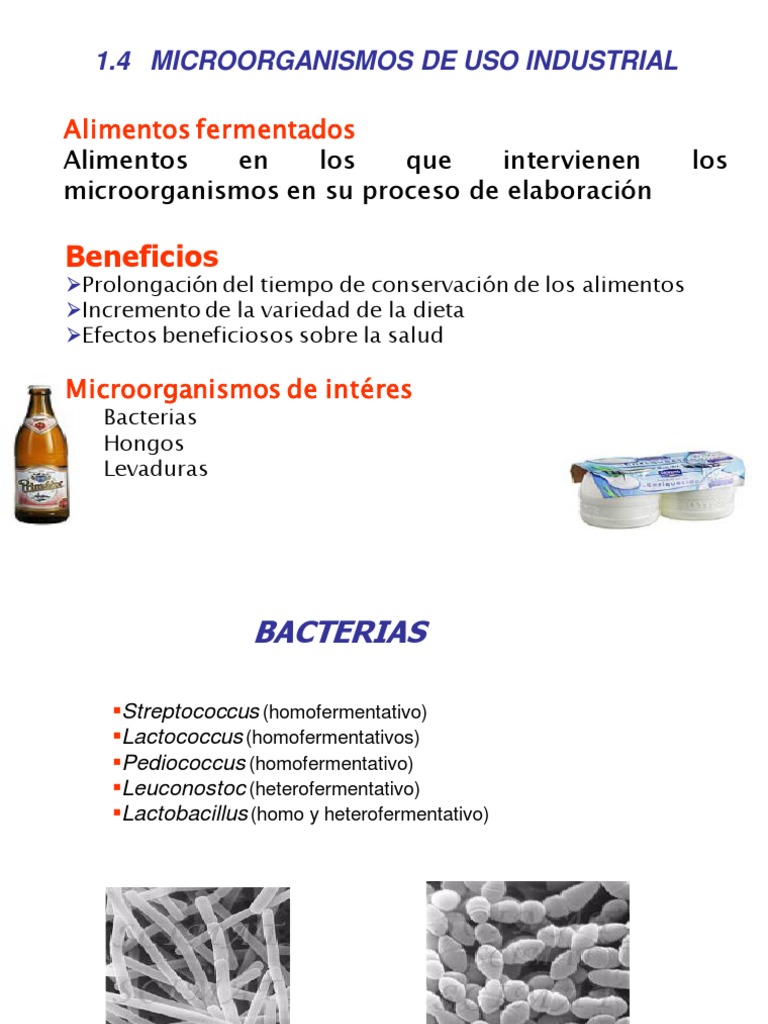 Microorganismos en Alimentos Fermentados | PDF | Salud y bienestar