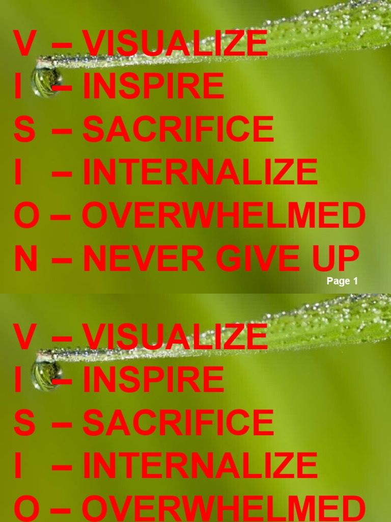 VISIONS OF INSPIRATION AND RESILIENCE | PDF