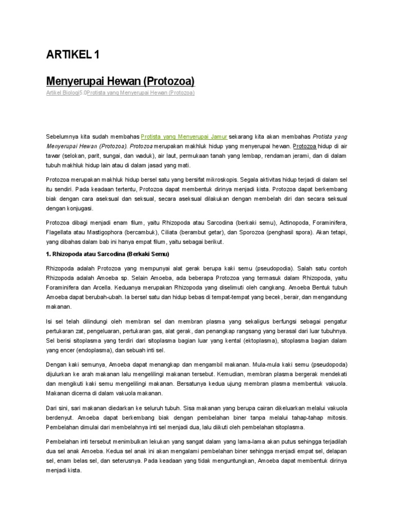 Artikel Protozoa