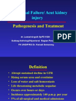 Acute Renal Failure/ Acut Kidney Injury: Pathogenesis and Treatment