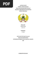 Download presentasi kasus CKD by Sarafina Ghasani SN288823194 doc pdf