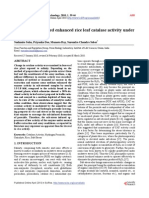 Osmolyte Modulated Enhanced Rice Leaf Catalase Activity Under Salt-Stress