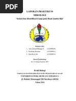 Download Isolasi Dan Identifikasi Fungi pada Buah Jambu Biji by Haqqi SN288832479 doc pdf