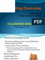 Audit Process PDF