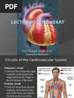 Lecture 2: The Heart: Prof. Magidah Alaudi, M.SC