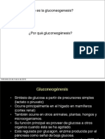 Glucogeno &amp; gluconeogenesis