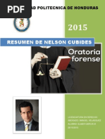 Resumen de Nelson Cubides Elmer Garcia Morales