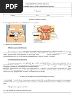 Trabalho Sobre Reprodução