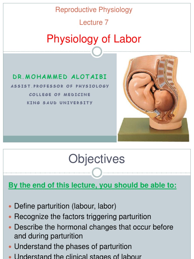 Physiology of Labor and Parturition | PDF | Uterus | Childbirth