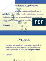 Exp Algebraicas Polinomios