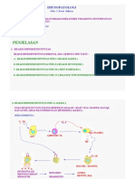 Imunopatologi PDF