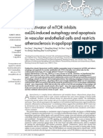 An Activator of MTOR Inhibits OxLDL-Induced Autophagy and Apoptosis in Vascular Endothelial Cells and Restricts Atherosclerosis in Apolipoprotein E Mice