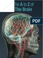 A To Z of The Brain Web Version