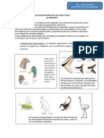 Adaptaciones de Los Seres Vivos