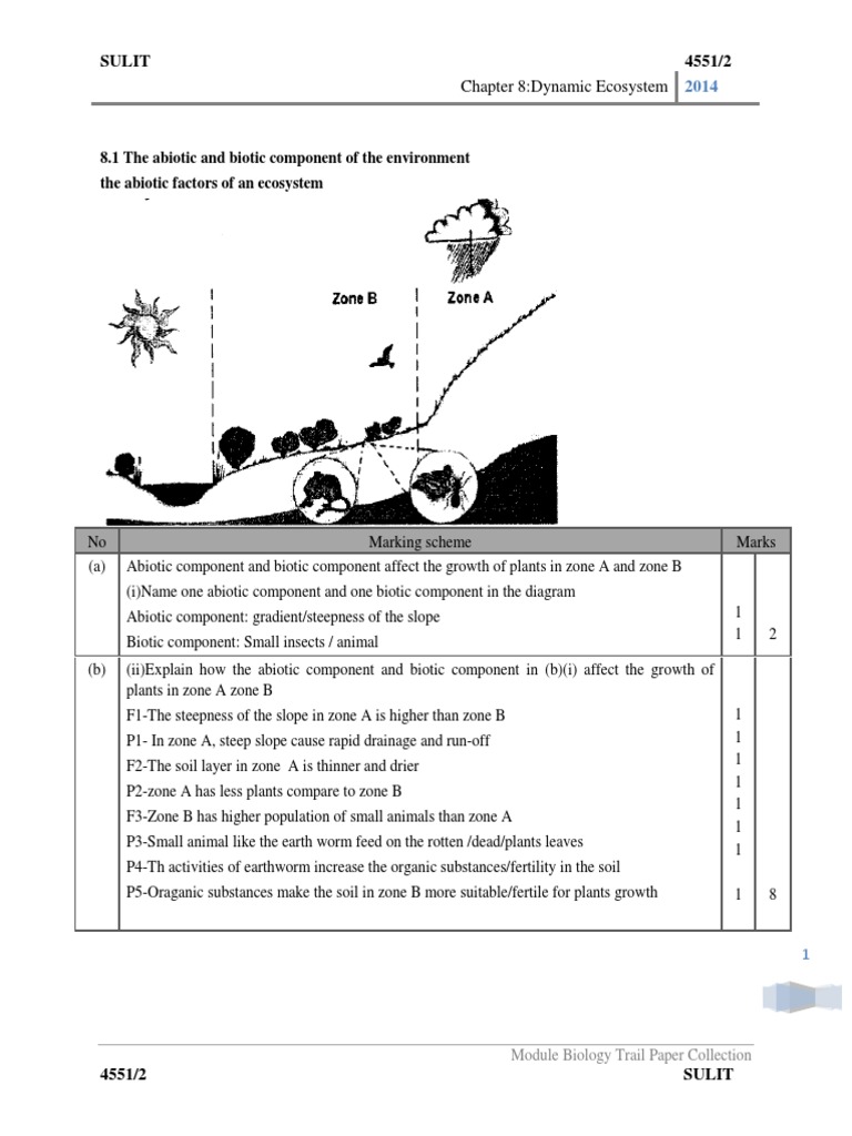 191581415 BIOLOGY Form 4 Chapter 8  Food Web  Ecosystem