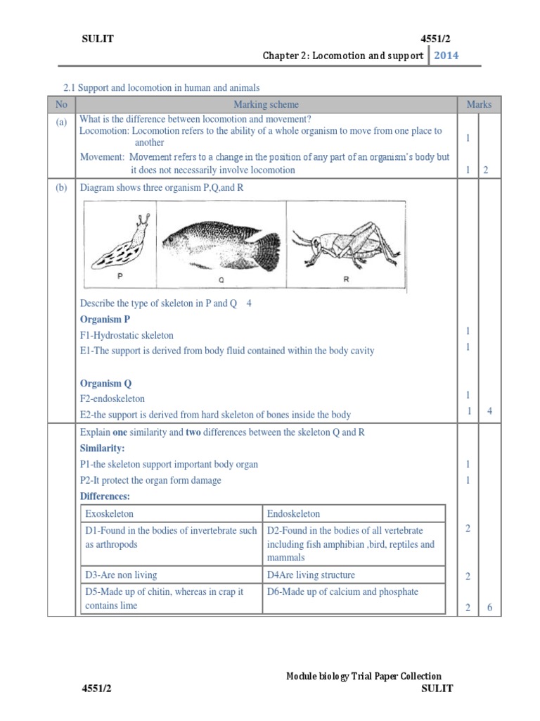 biology View Biology Form 5 Chapter 1 Background