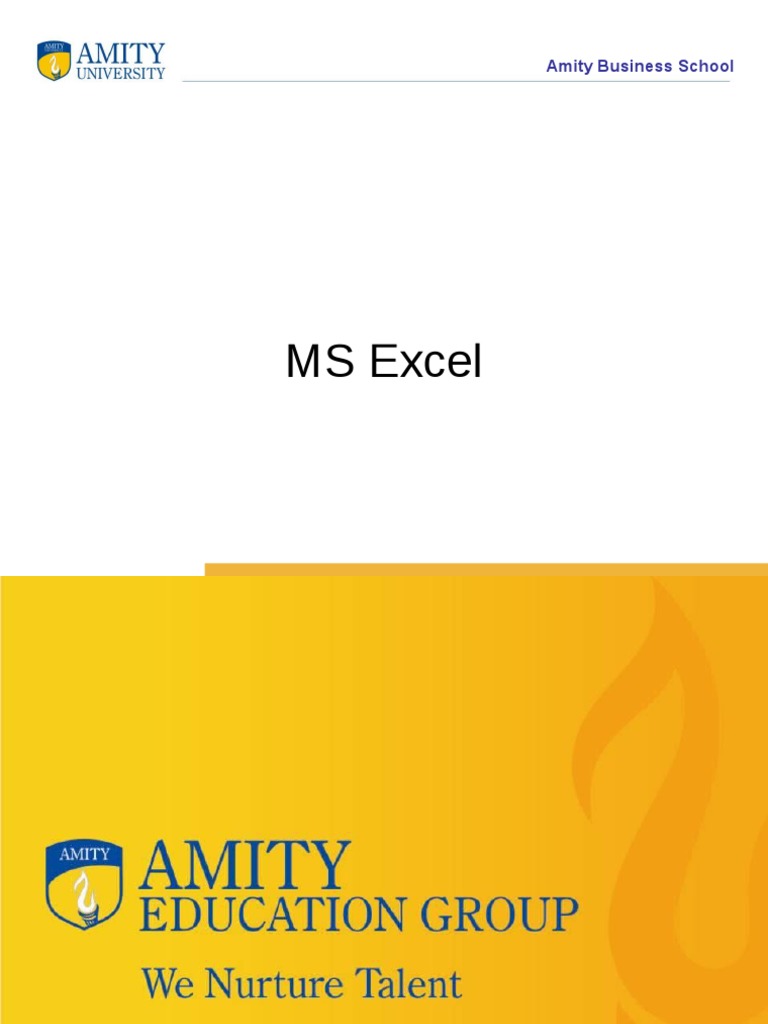 Excel Practical | PDF | Spreadsheet | Microsoft Excel