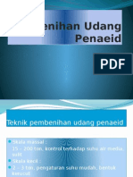 Pengelolaan Pembenihan