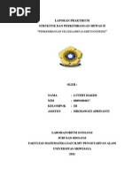 Download sph gametogenesis by Muhammad Aditya Permana SN288939579 doc pdf