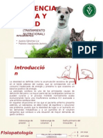 Insuficiencia Cardíaca Congestiva y su relación con la nutrición animal.