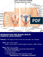 Gynecological Anatomy & Physiology