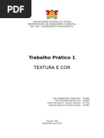 Elemento Paisagisticos - Cor e Textura