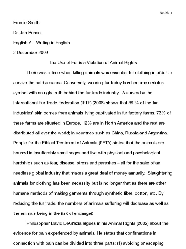 Argumentative essay about immigration picture