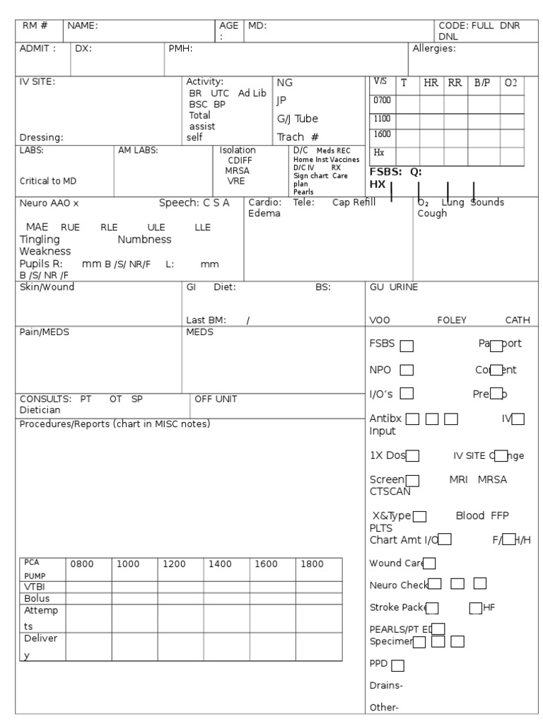 Patient Care Documentation Template | PDF