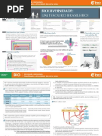 Biodiversidade - Um Tesouro Brasileiro - Professor - Bio
