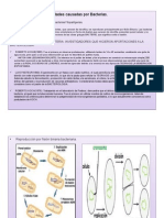 Bacterias Fitopa.2014