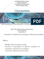 Citoesqueleto - Microfilamentos BIO159
