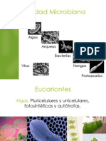 U2a_DiversidadMicrobiana_18982.pdf