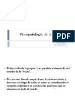 Psicopatologia de La Psicosis PDF