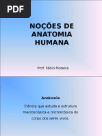 Noções de Anatomia, Movimentos
