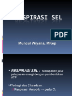 Respirasi Sel2015