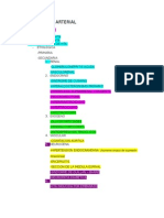 Hipertension Arterial