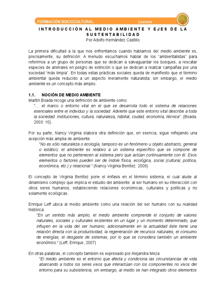 Los Ejes de La Sustentabilidad