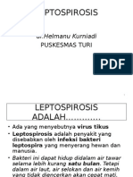 Leptospirosis Turi