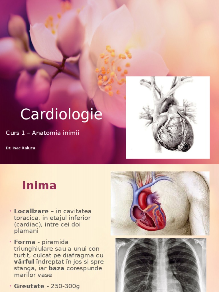 Cardiologie Curs 1 - Anatomia Inimii | PDF