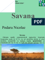 Savana: Podaru Nicolae