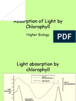 Absorption of Light by Chlorophyll